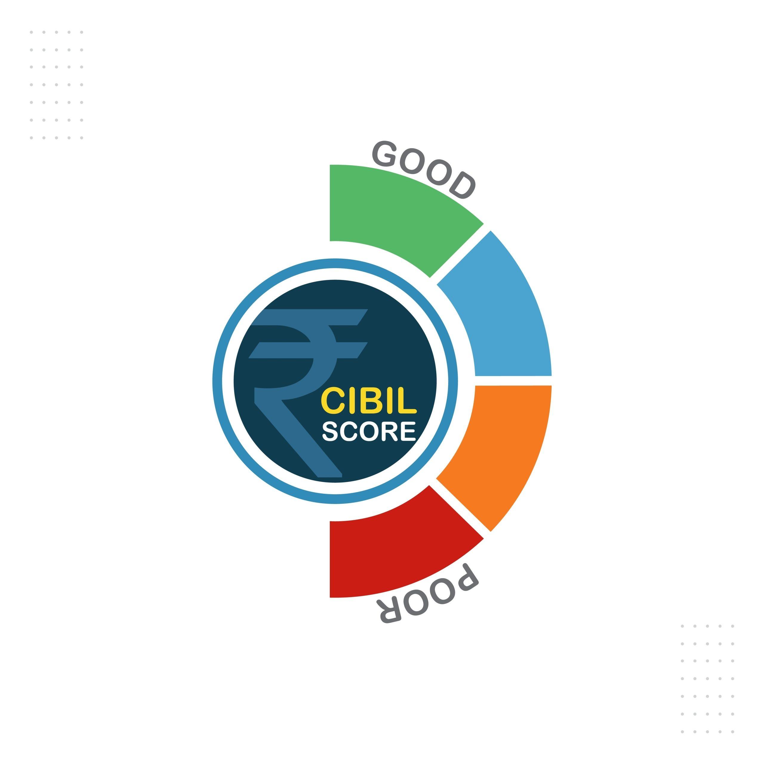 LSS in CIBIL Report